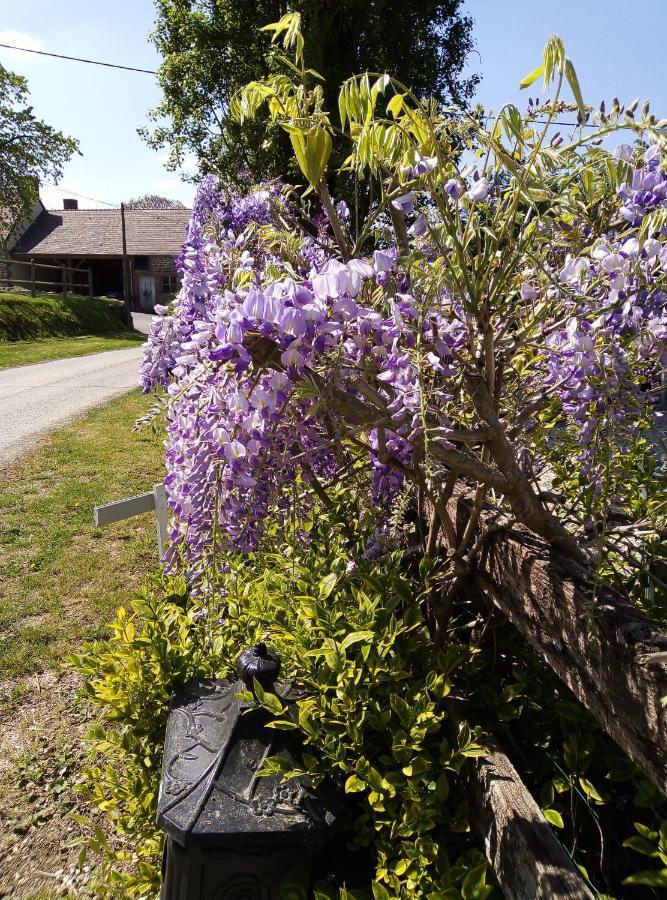 Rânes Le Beauregard Bed & Breakfast エクステリア 写真